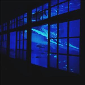 韩国女团赛玩具跳舞视频
